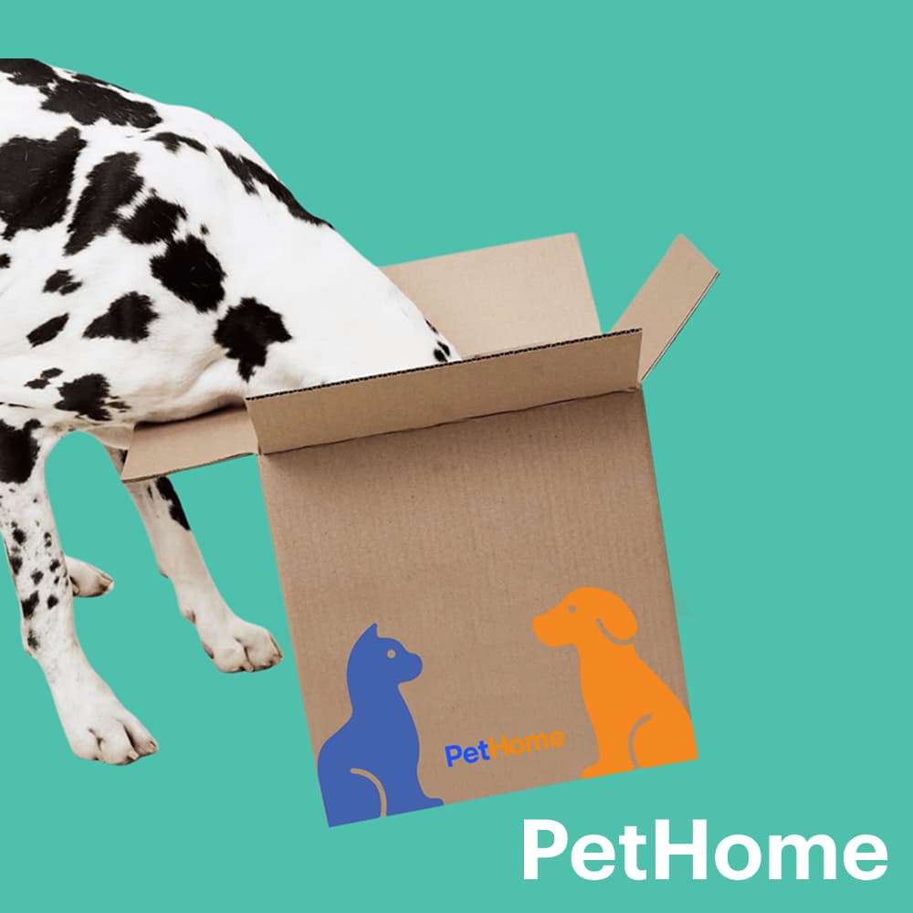 Un dalmatien plongeant la tête dans un carton de produits PetHome